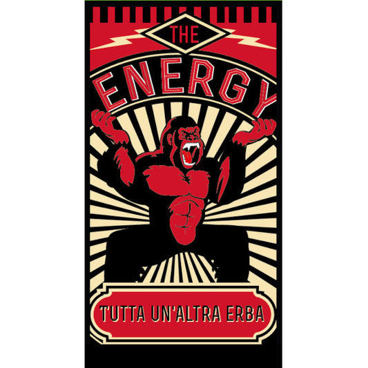 007515_1_Image.erp.items.images.007515.jpg 007515 picture